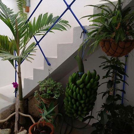 La Haciendita De La Casita Azul 拉克鲁斯 外观 照片